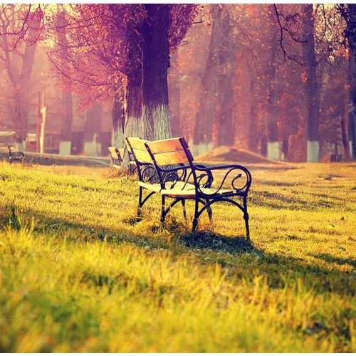 Cho ảnh đẹp với những kỹ thuật cơ bản nhất