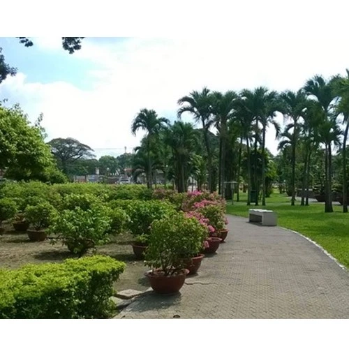 Kinh nghiệm cơ bản xử lý độ tương phản