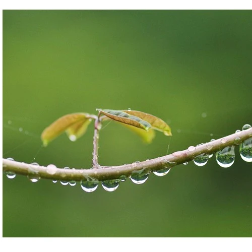 Các hệ thấu kính chụp macro