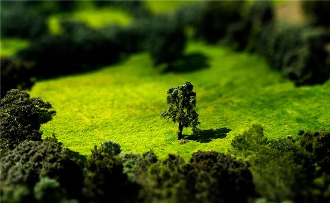 Tìm hiểu về ống kính Tilt-Shift