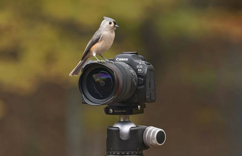 Tạo nên thước phim 4K sống động với chất lượng vượt trội